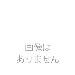 2in　マフラーパイプス　スラッシュアウト　カタログ番号:1800-0608